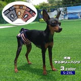 犬用サニタリーパンツ マナーパンツ 生理用パンツ | PlusNao | 詳細画像1