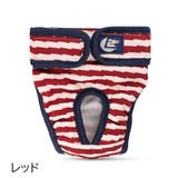 犬用サニタリーパンツ マナーパンツ 生理用パンツ | PlusNao | 詳細画像11
