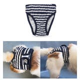 犬用サニタリーパンツ マナーパンツ 生理用パンツ | PlusNao | 詳細画像3