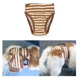 犬用サニタリーパンツ マナーパンツ 生理用パンツ | PlusNao | 詳細画像5