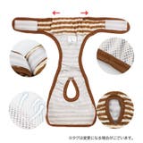 犬用サニタリーパンツ マナーパンツ 生理用パンツ | PlusNao | 詳細画像7
