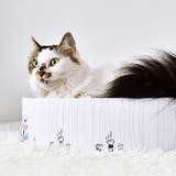 猫用 爪とぎ 爪磨き | PlusNao | 詳細画像11 