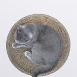 猫用 爪とぎ 爪磨き | PlusNao | 詳細画像12 
