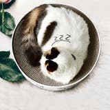 猫用 爪とぎ 爪磨き | PlusNao | 詳細画像3 