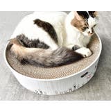 猫用 爪とぎ 爪磨き | PlusNao | 詳細画像4 