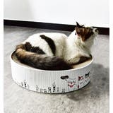 猫用 爪とぎ 爪磨き | PlusNao | 詳細画像6 