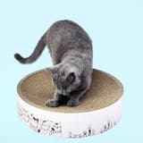 猫用 爪とぎ 爪磨き | PlusNao | 詳細画像9 