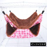 ペット用ハンモック 小動物用ハンモック モモンガ | PlusNao | 詳細画像8 