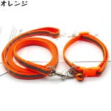 リード 牽引ロープ 首輪 | PlusNao | 詳細画像5