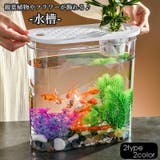 水槽 金魚鉢 飼育水槽 | PlusNao | 詳細画像1 