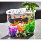 水槽 金魚鉢 飼育水槽 | PlusNao | 詳細画像11 