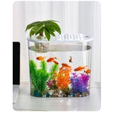 水槽 金魚鉢 飼育水槽 | PlusNao | 詳細画像13 