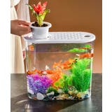 水槽 金魚鉢 飼育水槽 | PlusNao | 詳細画像2 