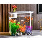 水槽 金魚鉢 飼育水槽 | PlusNao | 詳細画像4 