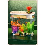 水槽 金魚鉢 飼育水槽 | PlusNao | 詳細画像6 