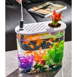 水槽 金魚鉢 飼育水槽 | PlusNao | 詳細画像7 