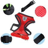 ハーネス リード 2点セット | PlusNao | 詳細画像6 