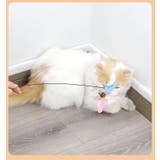 猫じゃらし ねこ用おもちゃ ペット用品 | PlusNao | 詳細画像3