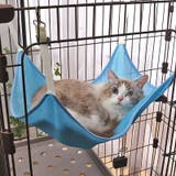 猫用ハンモック ベッド 吊り下げ | PlusNao | 詳細画像2 