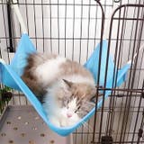 猫用ハンモック ベッド 吊り下げ | PlusNao | 詳細画像4 