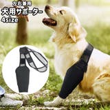 犬用サポーター 1枚 単品 | PlusNao | 詳細画像1 