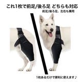 犬用サポーター 1枚 単品 | PlusNao | 詳細画像3 