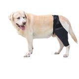犬用サポーター 1枚 単品 | PlusNao | 詳細画像5 