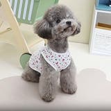 ドッグウェア ペットウェア 犬 | PlusNao | 詳細画像10