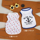 ドッグウェア ペットウェア 犬 | PlusNao | 詳細画像11