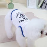 ドッグウェア ペットウェア 犬 | PlusNao | 詳細画像2