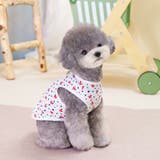ドッグウェア ペットウェア 犬 | PlusNao | 詳細画像3