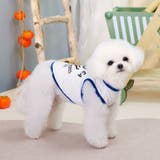 ドッグウェア ペットウェア 犬 | PlusNao | 詳細画像5