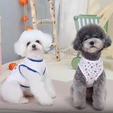 ドッグウェア ペットウェア 犬 | PlusNao | 詳細画像6
