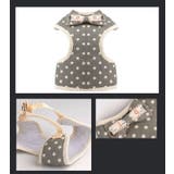 ハーネス リード 2点セット | PlusNao | 詳細画像5