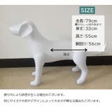 エアーマネキン トルソー 犬 | PlusNao | 詳細画像9 