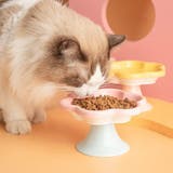 フードボウル ペット用 猫用 | PlusNao | 詳細画像5