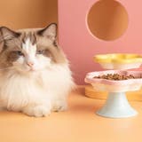 フードボウル ペット用 猫用 | PlusNao | 詳細画像6