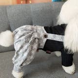 ペットウェア 犬の服 ドッグウェア | PlusNao | 詳細画像6 