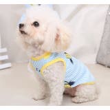 ペットウェア タンクトップ 犬服 | PlusNao | 詳細画像5 