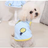 ペットウェア タンクトップ 犬服 | PlusNao | 詳細画像6 
