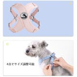 ハーネス 単品 胴輪 | PlusNao | 詳細画像8 