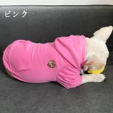 ペット用 ドッグウエア ペットウエア | PlusNao | 詳細画像8 