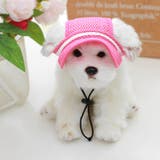 帽子 犬用 ハット | PlusNao | 詳細画像4