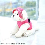 帽子 犬用 ハット | PlusNao | 詳細画像7