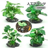人工プランツ 人工水草 アクアリウム用品 | PlusNao | 詳細画像1