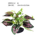 人工プランツ 人工水草 アクアリウム用品 | PlusNao | 詳細画像10