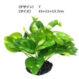 人工プランツ 人工水草 アクアリウム用品 | PlusNao | 詳細画像9