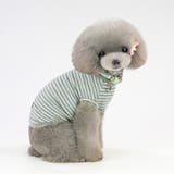 ドッグウェア 犬服 犬用ウェア | PlusNao | 詳細画像11