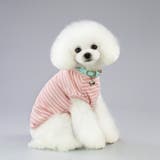 ドッグウェア 犬服 犬用ウェア | PlusNao | 詳細画像2