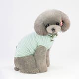 ドッグウェア 犬服 犬用ウェア | PlusNao | 詳細画像4